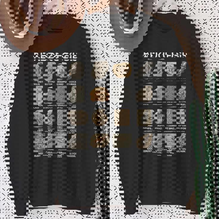 古生代化石チャート古生物学科学愛好家 スウェットシャツ 年配の女性への贈り物