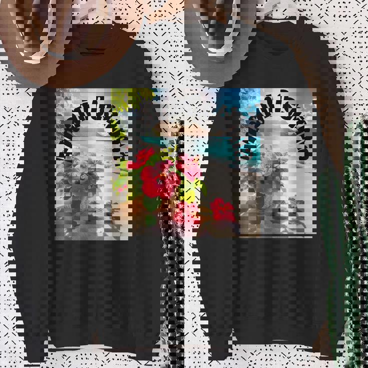 奄美大島 日本 7 スウェットシャツ 年配の女性への贈り物