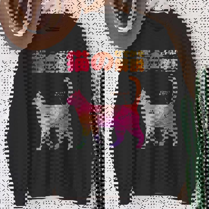 猫のなでかた解説 おもしろ 猫好き アイデア ギフト サプライズ にゃんこ 半袖 ペット プリント スウェットシャツ 年配の女性への贈り物