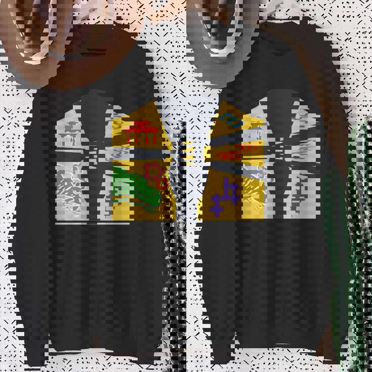 琉球備形沖縄沖縄内南朱型 三線 長袖tシャツ スウェットシャツ 年配の女性への贈り物