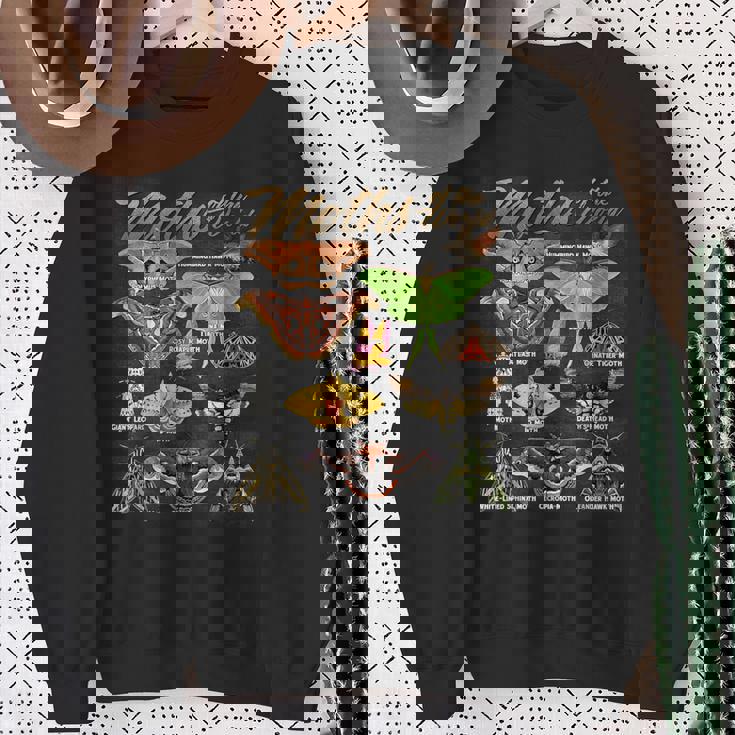 蛾 世界の動物 知育 昆虫 蛾好き スウェットシャツ 年配の女性への贈り物