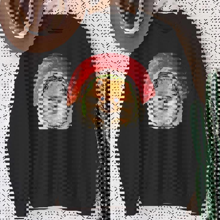 面白いtシャツ ポメラニアン 犬 イヌ 寿司 メンズ 犬好き グッズ かわいい おもしろ 面白い 服 ネタ スウェットシャツ 年配の女性への贈り物