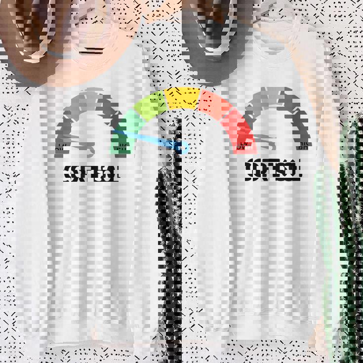 Low Cotisol Maxxing おもしろミーム ソーシャルメディア 自己改善 スウェットシャツ 年配の女性への贈り物