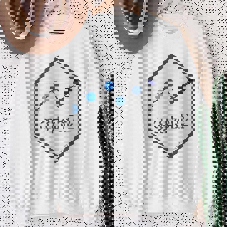 R Programming Ggplot2 六角tシャツ Rstudio Tidyverse Rstats スウェットシャツ 年配の女性への贈り物