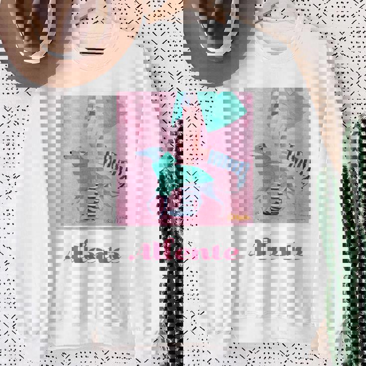 Rainyeason スウェットシャツ 年配の女性への贈り物