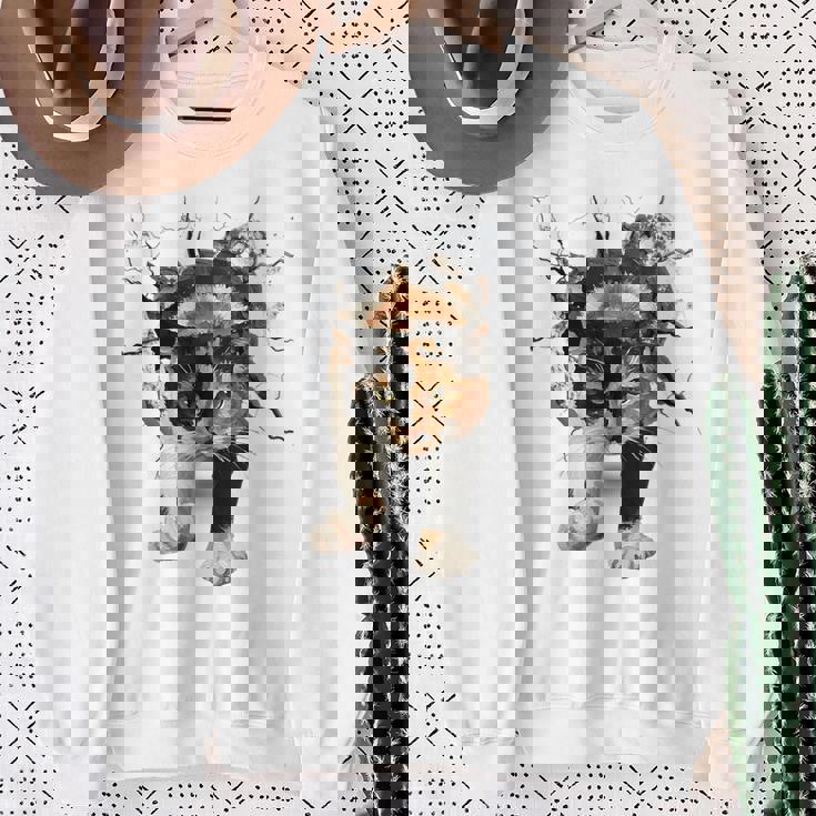 その壁を打ち破れ 三毛猫 福猫 面白 スウェットシャツ 年配の女性への贈り物