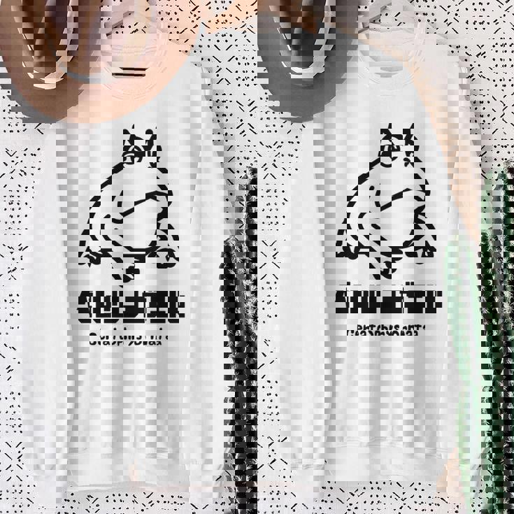 カエル ベルツノガエル メンズ レディース キッズ かわいい 蛙好き 長袖tシャツ スウェットシャツ 年配の女性への贈り物