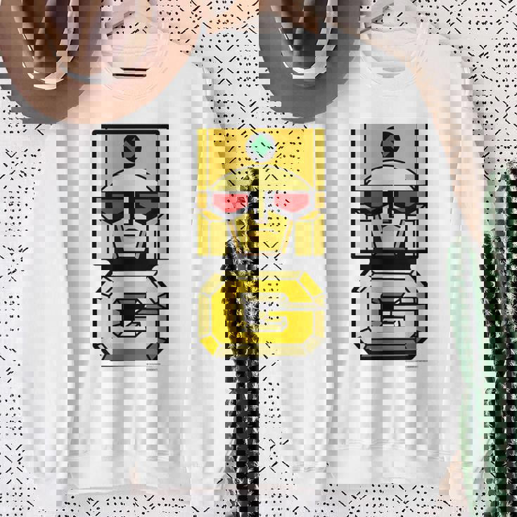 ゴールドライタン B スウェットシャツ 年配の女性への贈り物