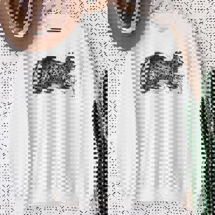 パームシベット アニマルプリント スウェットシャツ 年配の女性への贈り物