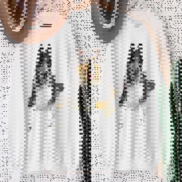 ラフ・コリー・トライ 長袖tシャツ スウェットシャツ 年配の女性への贈り物