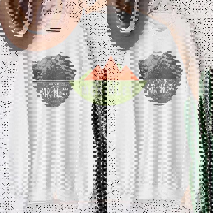 ヴィンテージ Usa マウンテンハイキング マウント・マッキンリー スウェットシャツ 年配の女性への贈り物