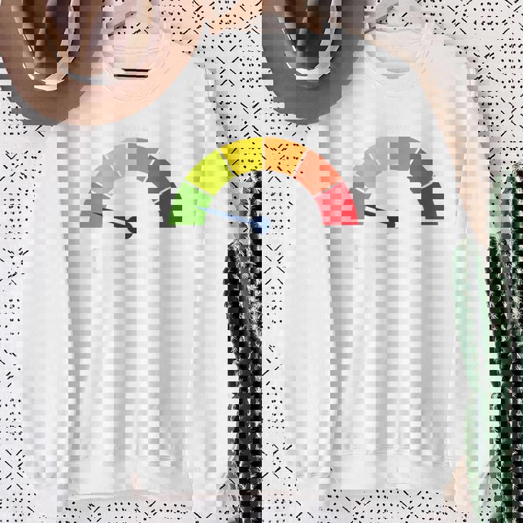 低コルチゾールレベルミーム スウェットシャツ 年配の女性への贈り物