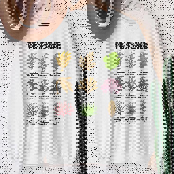 海藻の種類、海藻種チャート、海藻の種類 スウェットシャツ 年配の女性への贈り物