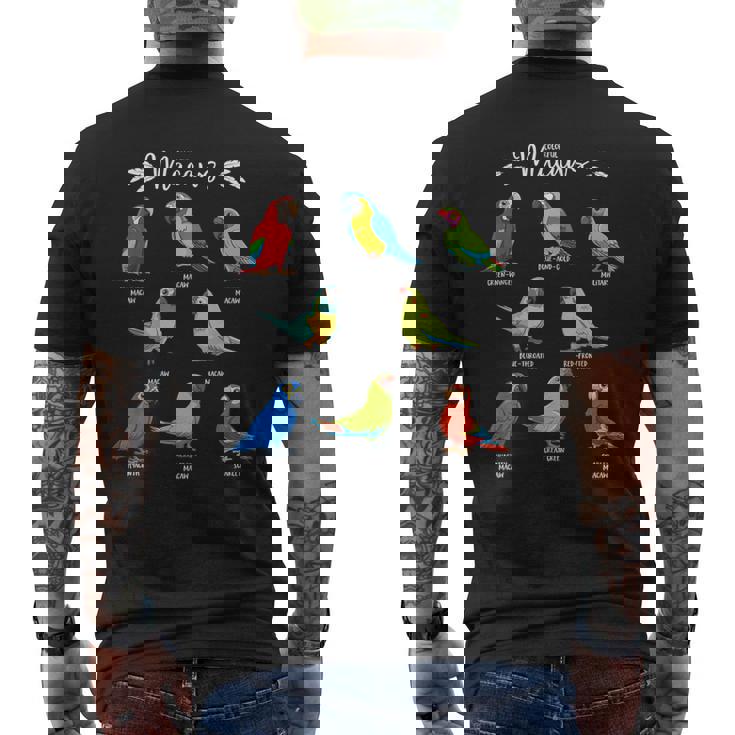 カラフルな8種のインコ コンゴウインコ メンズTシャツ バックプリント