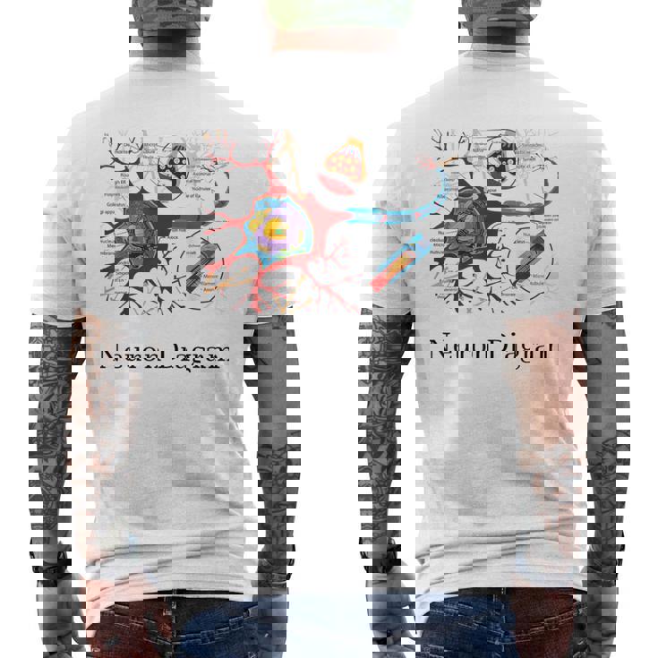 Diagrama De Neuronas Etiquetado Con Células Nerviosas Camiseta Hombre Estampado Espalda