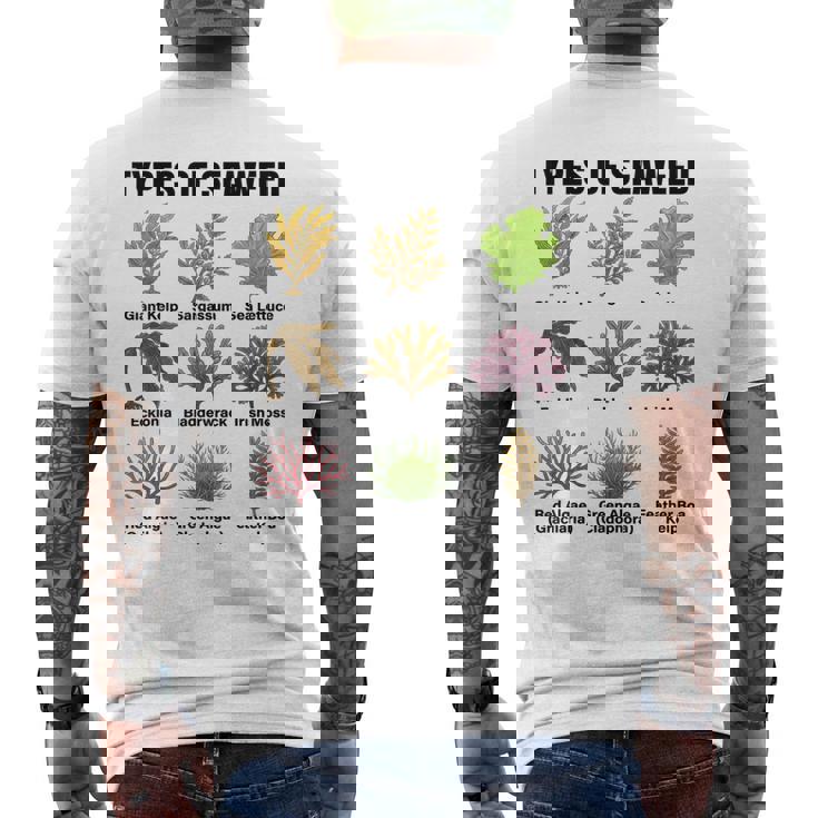 海藻の種類、海藻種チャート、海藻の種類 メンズTシャツ バックプリント