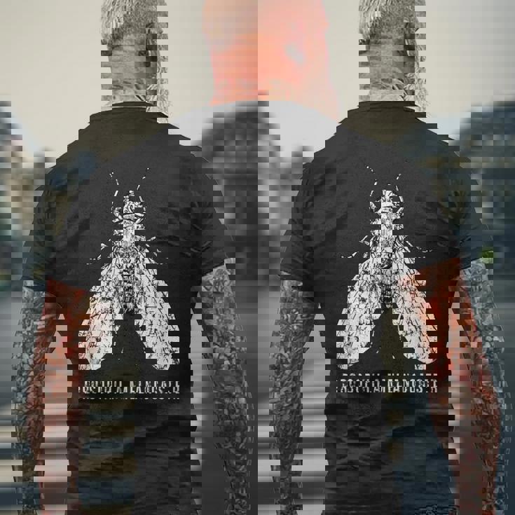 Fruit Fly Drosophila Melanogaster Forcientists メンズTシャツ バックプリント 高齢者への贈り物