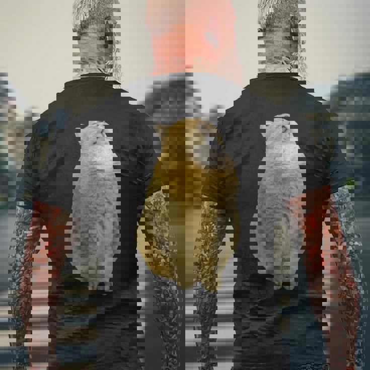 Meme Yellow Cat leep Internetiral メンズTシャツ バックプリント 高齢者への贈り物