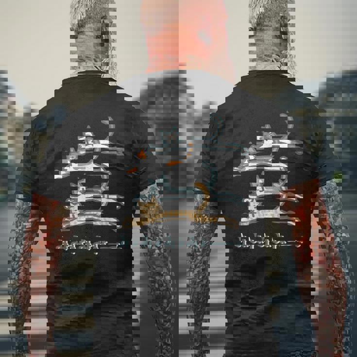 みょみょみょみょーん 猫 ネコ 茶トラ ハチワレ 三毛 シャム シュール おもしろ 可愛い メンズ レディース キッズ メンズTシャツ バックプリント 高齢者への贈り物