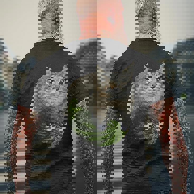 スイカ猫ミーム メンズTシャツ バックプリント 高齢者への贈り物