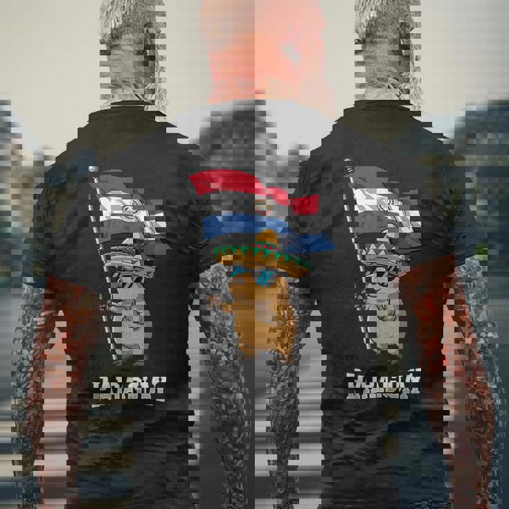 パラグアイ国旗 パラグアイのプライド メンズTシャツ バックプリント 高齢者への贈り物