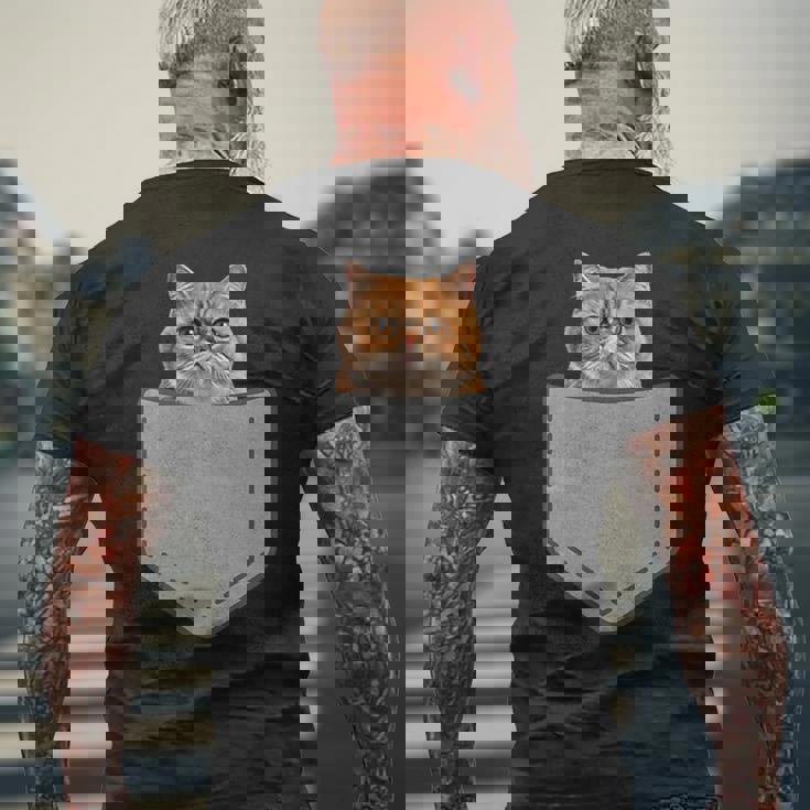 ファニーエキゾチックショートヘア猫 メンズTシャツ バックプリント 高齢者への贈り物