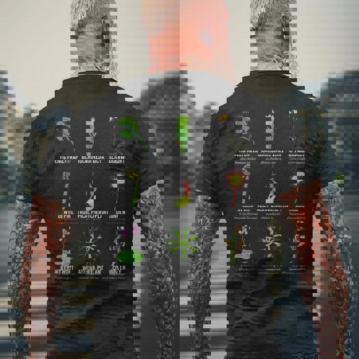 食虫植物 チャートハエトリグサ、食虫植物 メンズTシャツ バックプリント 高齢者への贈り物