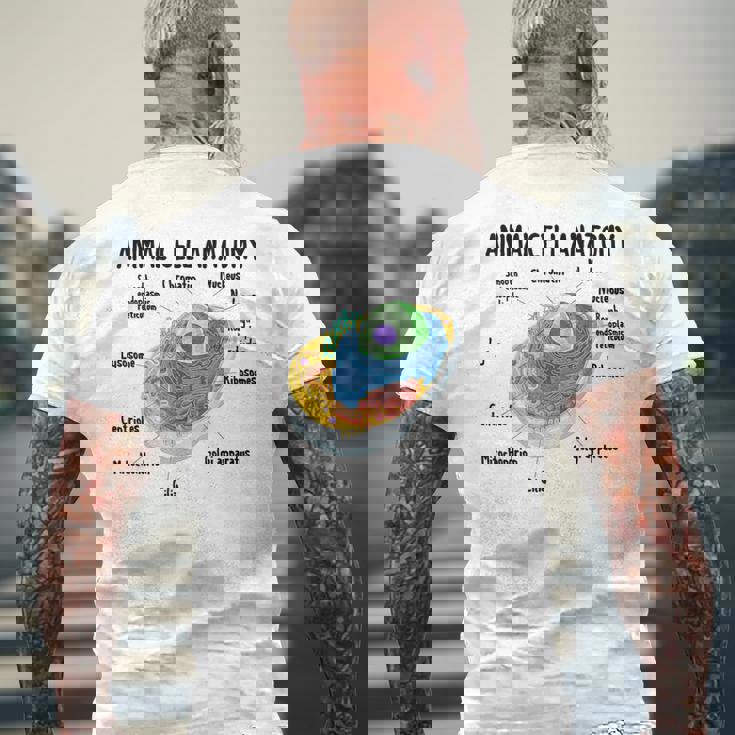 動物細胞の解剖学 生物学者 理科学生 メンズTシャツ バックプリント 高齢者への贈り物