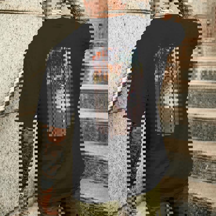 Degas 有名なバレリーナ絵画 モダンな外観 縦縞 メンズTシャツ バックプリント 彼への贈り物