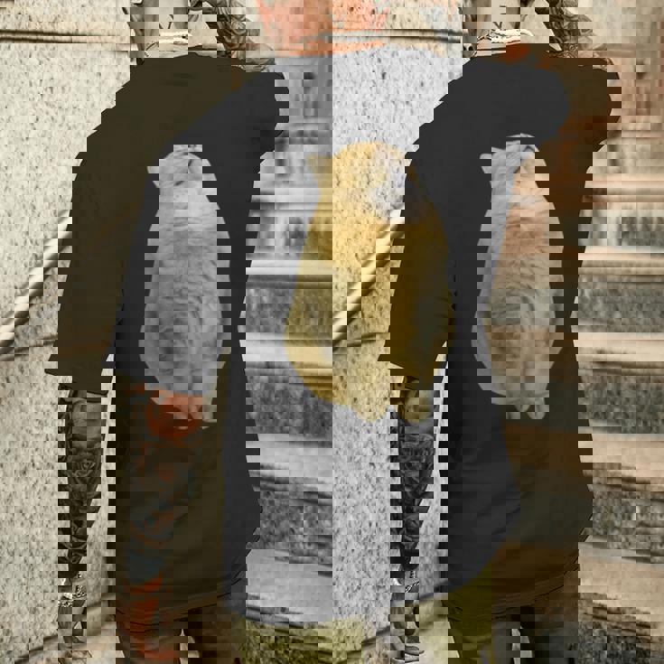 Meme Yellow Cat leep Internetiral メンズTシャツ バックプリント 彼への贈り物