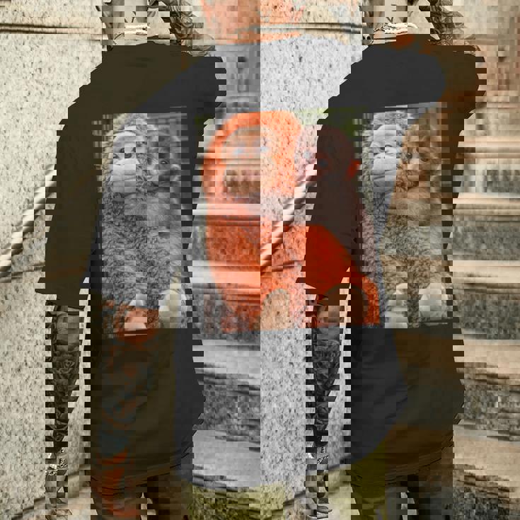 Punch The Monkey Meme X Ape Cute Punch Monkey Baby Meme メンズTシャツ バックプリント 彼への贈り物