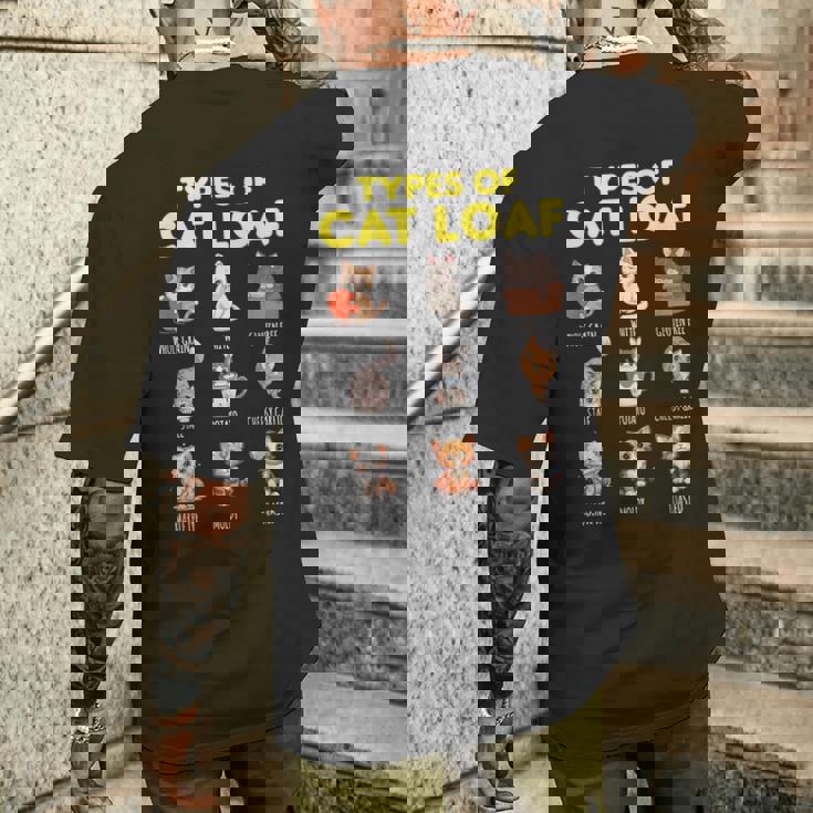 Types Of Cat Loaf Cute Kitten Kawaii Cats Cat Lover メンズTシャツ バックプリント 彼への贈り物