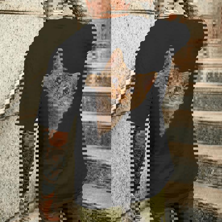 【覗くネコ】猫 にゃんこ 猫好き 猫 可愛い ネコ 子猫 ネコ好き 面白い 変な 遊び心 ネタ ウケ狙い おもしろ メンズTシャツ バックプリント 彼への贈り物