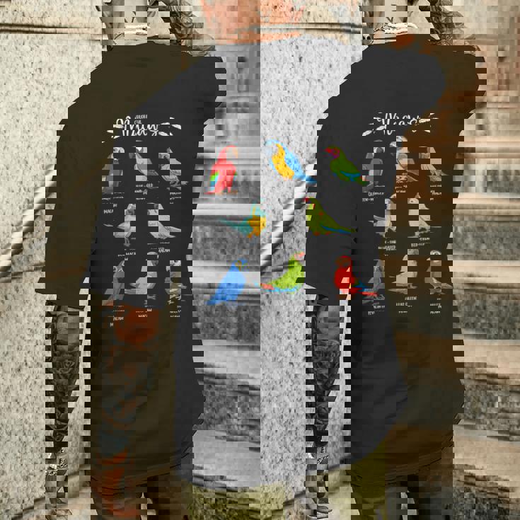 カラフルな8種のインコ コンゴウインコ メンズTシャツ バックプリント 彼への贈り物