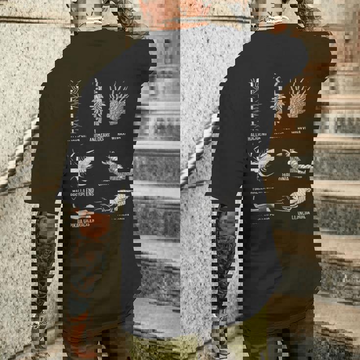 カンブリア紀 生き物 化石 古美術 進化 科学 恋人 メンズTシャツ バックプリント 彼への贈り物