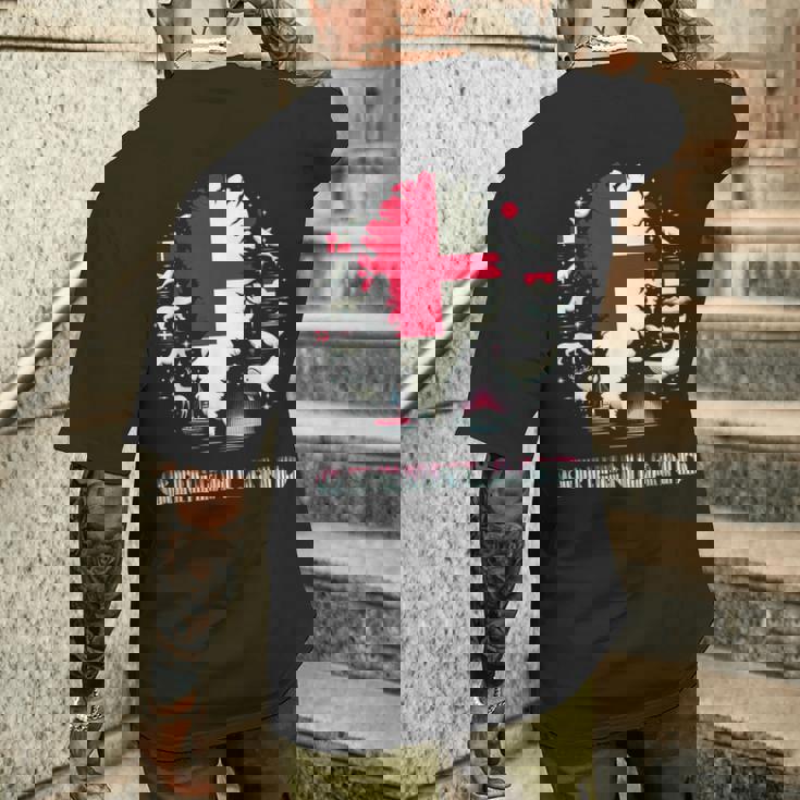 グリーンランドフラッグシャツ、グリーンランドマップ、グリーンランド、レディース、メンズ。 メンズTシャツ バックプリント 彼への贈り物