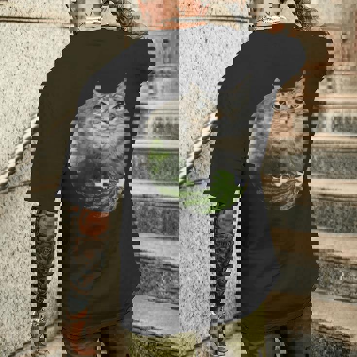 スイカ猫ミーム メンズTシャツ バックプリント 彼への贈り物