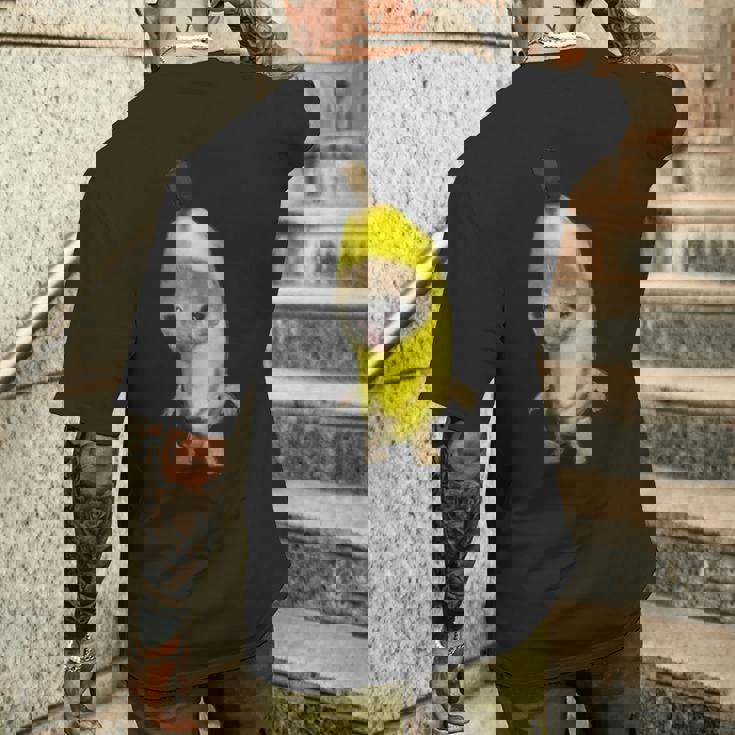 バナナキャット ファニーミーム メンズTシャツ バックプリント 彼への贈り物