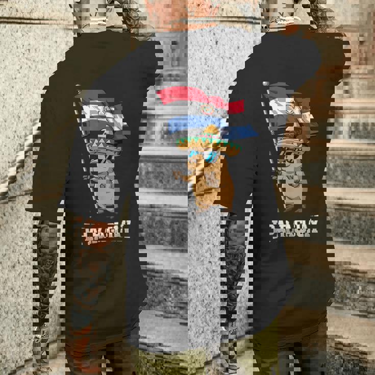 パラグアイ国旗 パラグアイのプライド メンズTシャツ バックプリント 彼への贈り物