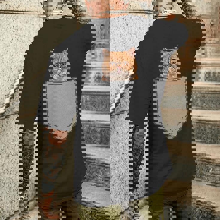 ファニーエキゾチックショートヘア猫 メンズTシャツ バックプリント 彼への贈り物