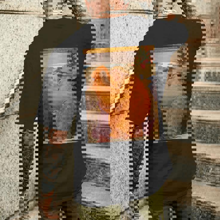 フレデリック・レイトン フレデリック・レイトン フレイムリング メンズTシャツ バックプリント 彼への贈り物