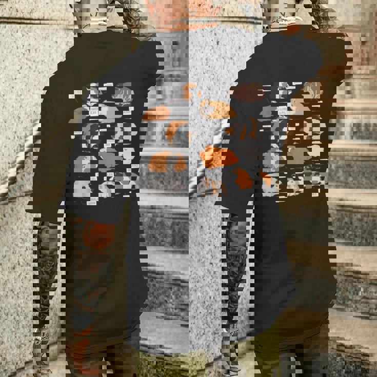 モルモット犬種シャツ メンズTシャツ バックプリント 彼への贈り物