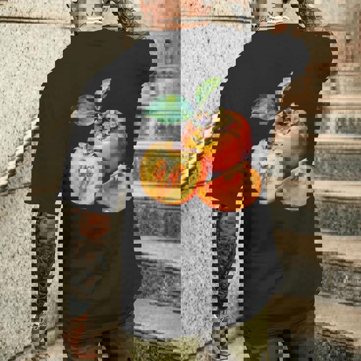 柿 メンズTシャツ バックプリント 彼への贈り物