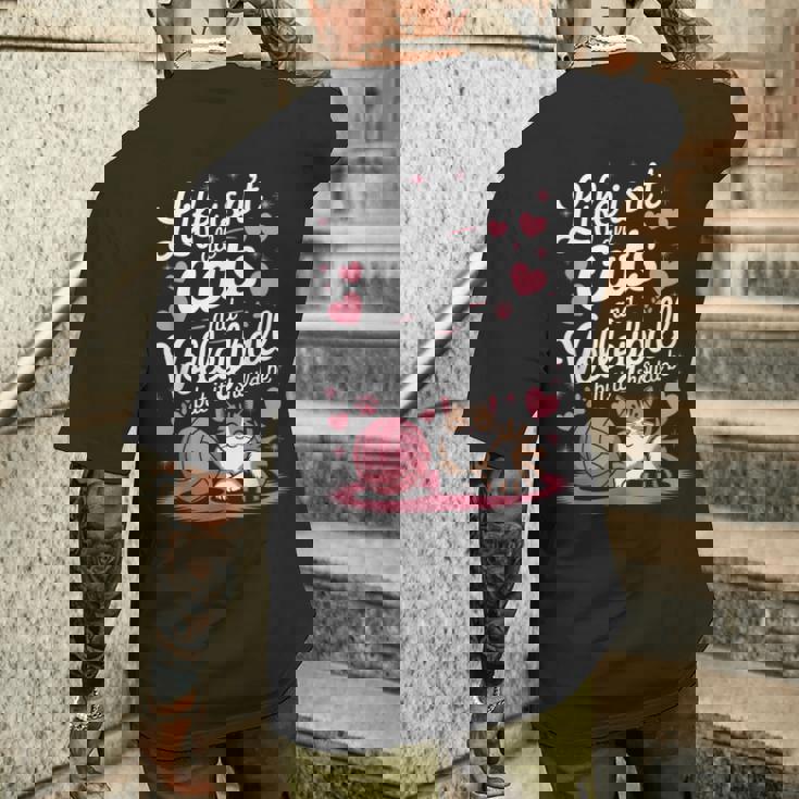 猫とバレーボール 面白いバレーボール メンズTシャツ バックプリント 彼への贈り物