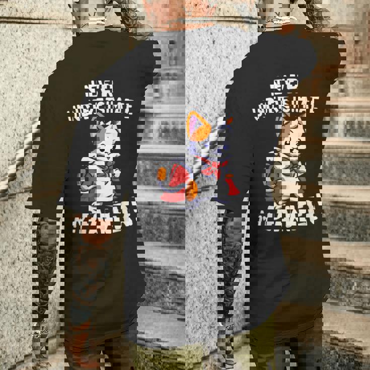 猫に言わせると、Don't Underestimate My Pawer Pun Cat（私の肉球を甘く見ないで）。 メンズTシャツ バックプリント 彼への贈り物