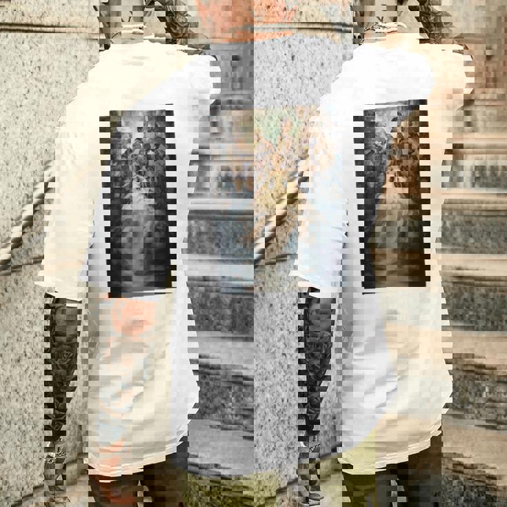 【公式】Final Fantasy アニバーサリーコレクション Ffxii Tza パッケージアート① メンズTシャツ バックプリント 彼への贈り物