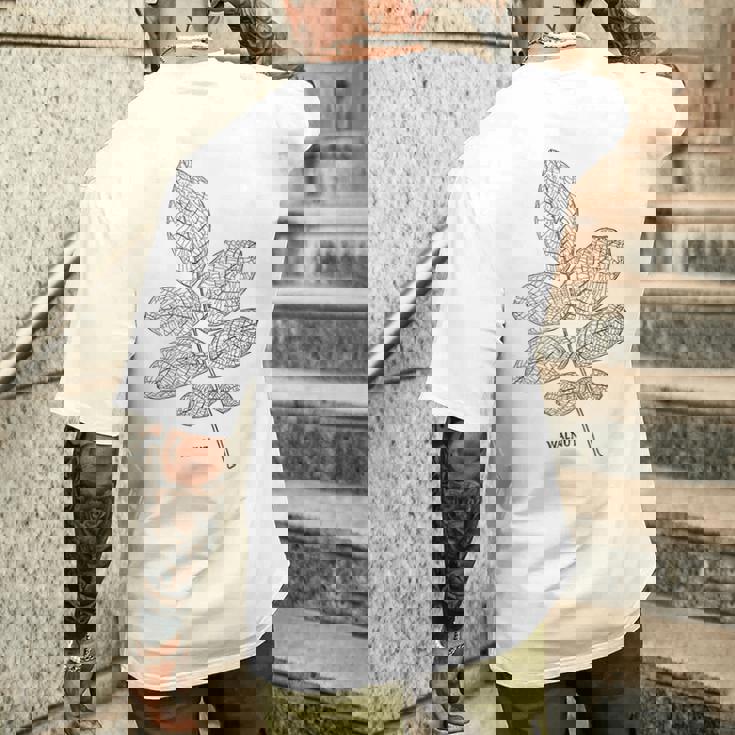 ウォールナットツリーリーフヴィンテージ植物学tシャツtシャツ メンズTシャツ バックプリント 彼への贈り物