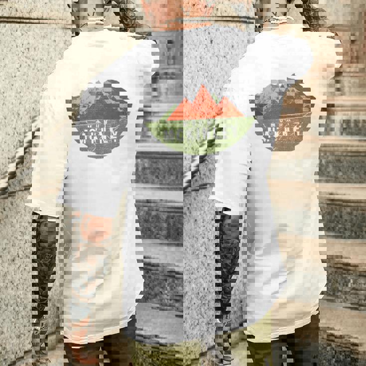 ヴィンテージ Usa マウンテンハイキング マウント・マッキンリー メンズTシャツ バックプリント 彼への贈り物