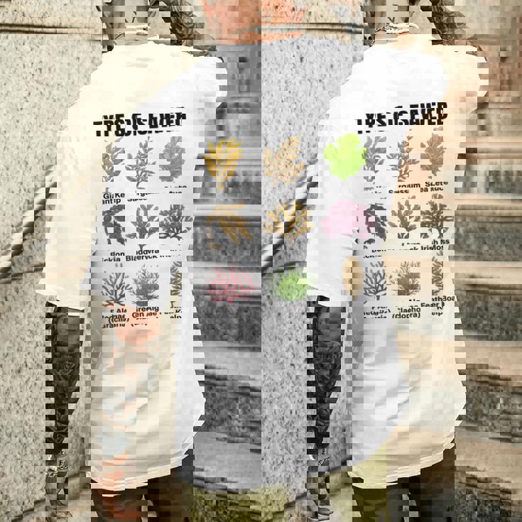 海藻の種類、海藻種チャート、海藻の種類 メンズTシャツ バックプリント 彼への贈り物