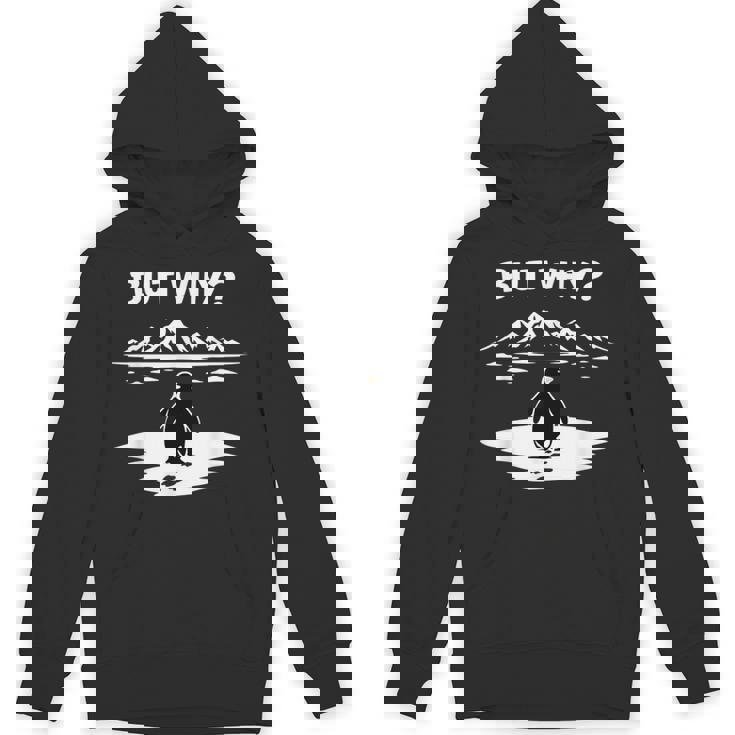 But Why Penguin Mountains Cute パーカー